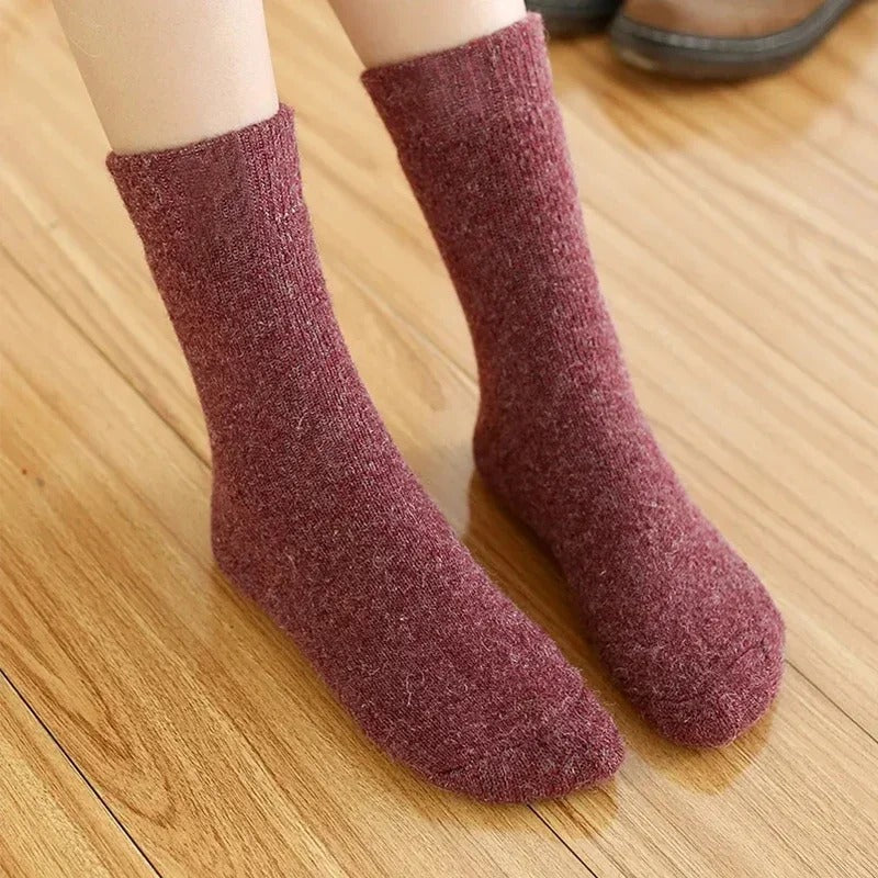 Cady Limited Edition Woolen Design New Winter Socks